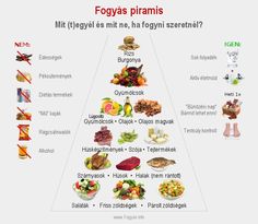 fogyókúrás programok)