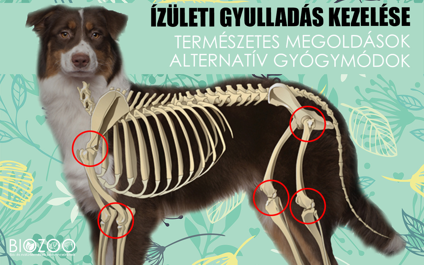 999 ízületi kezelés)