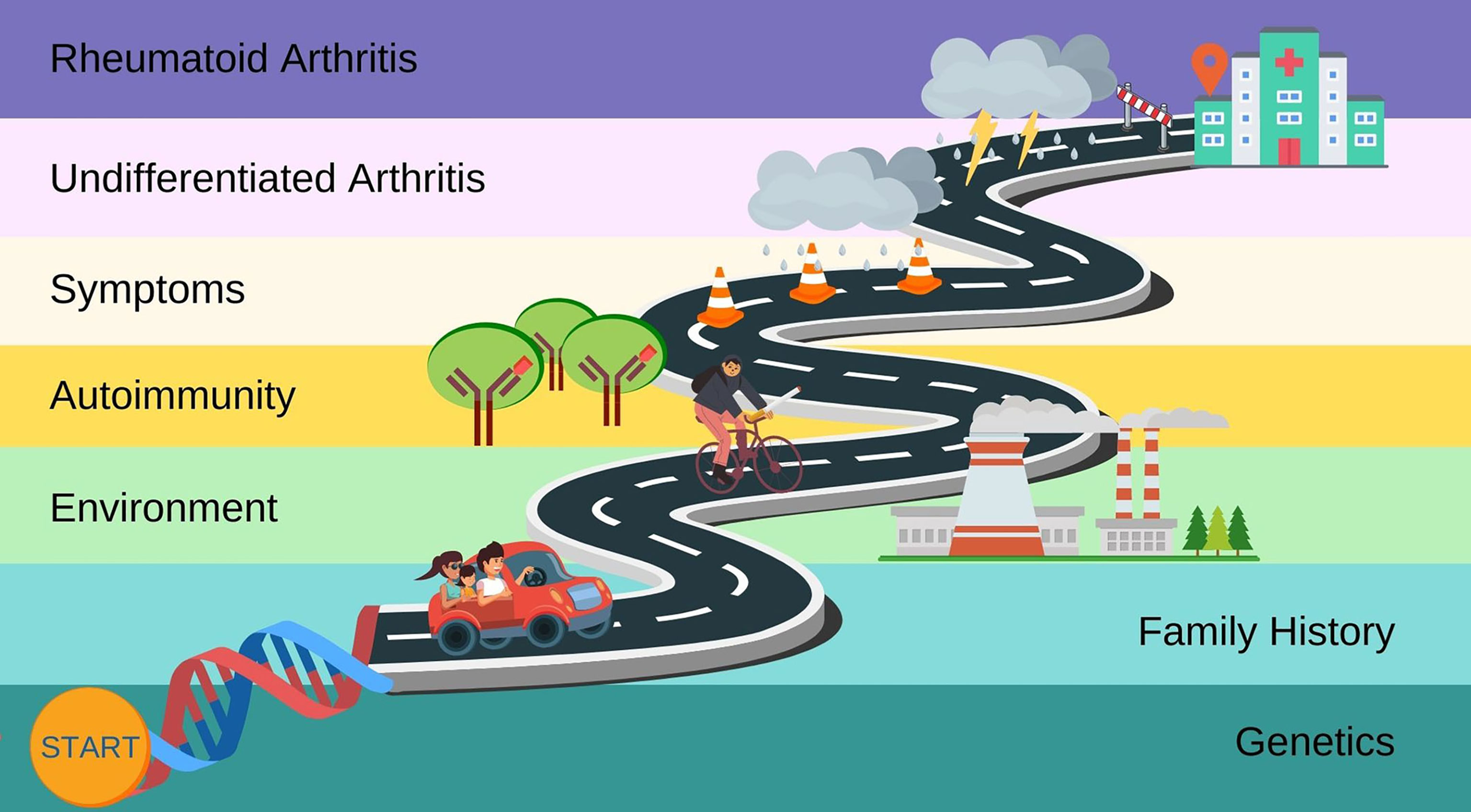 autoimmun polyarthritis