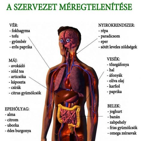 test tisztítása és helyreállítása