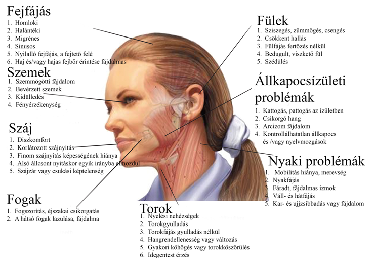 fájdalom és merevség minden ízületben)