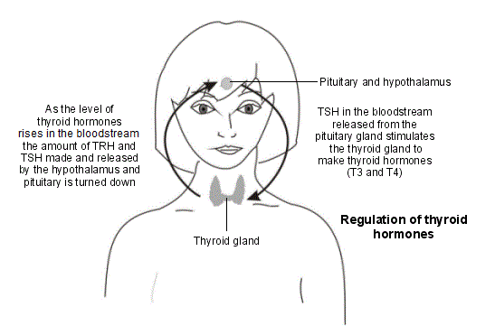 thyroid problems uk)