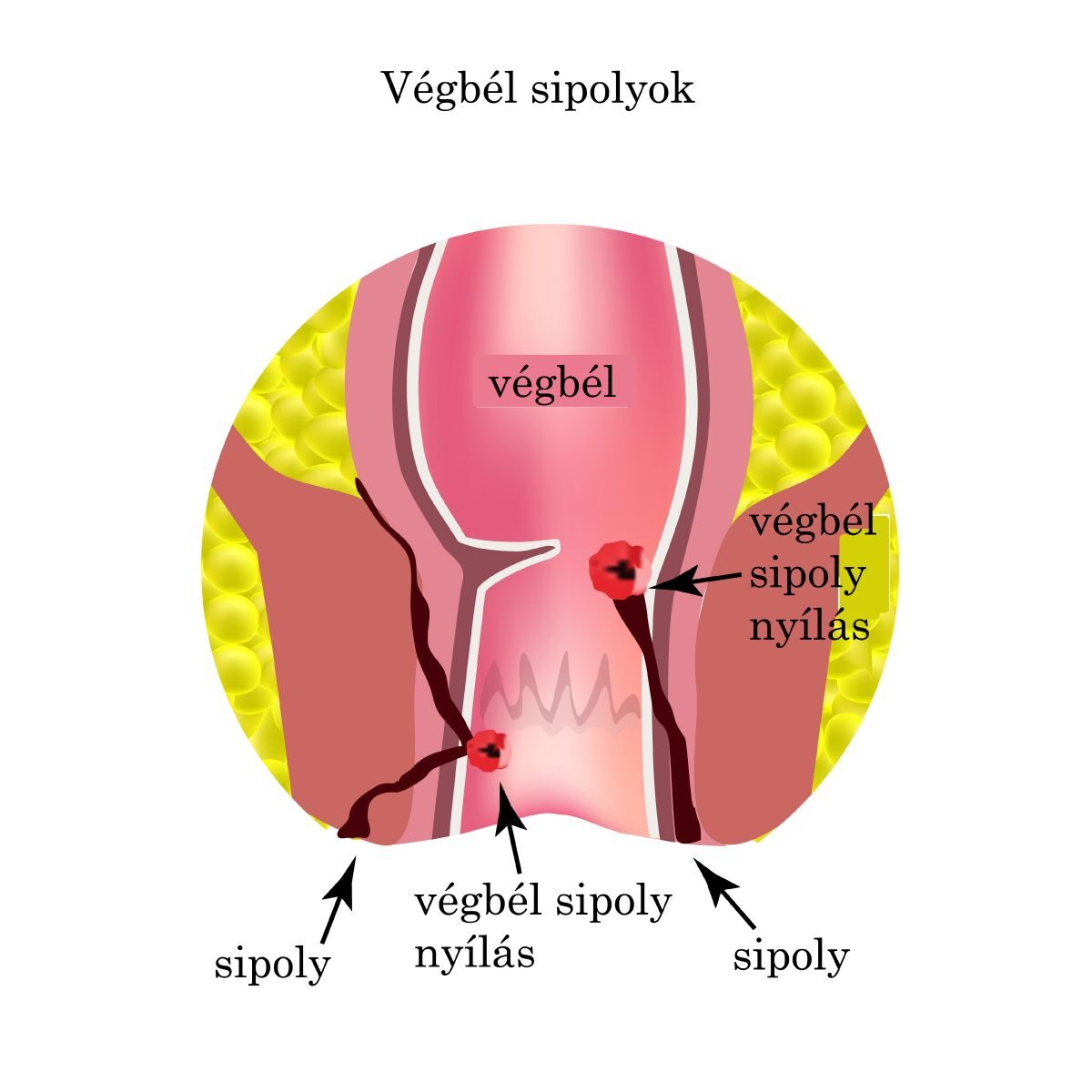 arthrosis nyulak kezelésében)