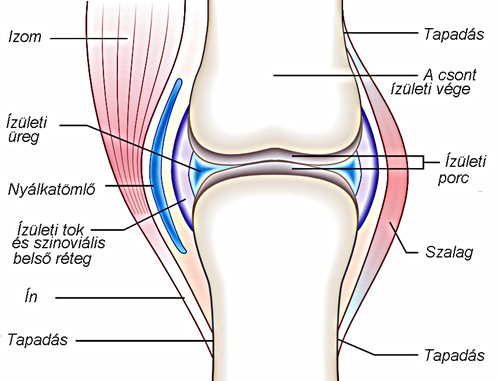 fájdalom a vállízületekben osteochondrosis miatt
