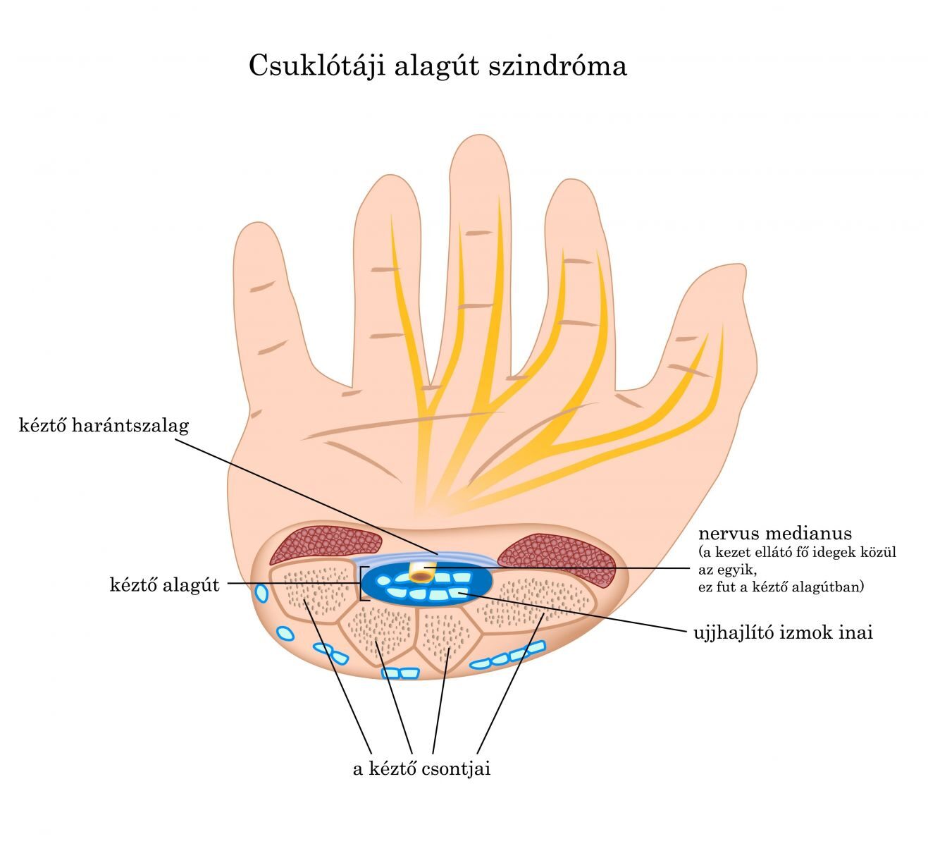 az egész test ízületei fájdalmat okoznak