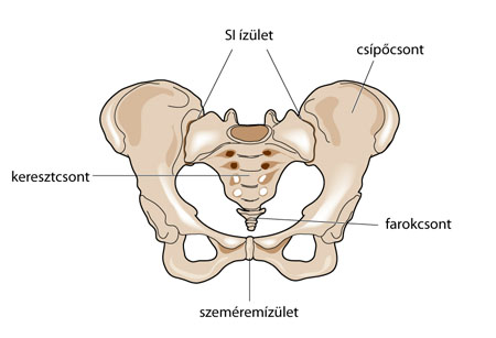 A csípőízület ízületi gyulladása 2 fokos kezelés