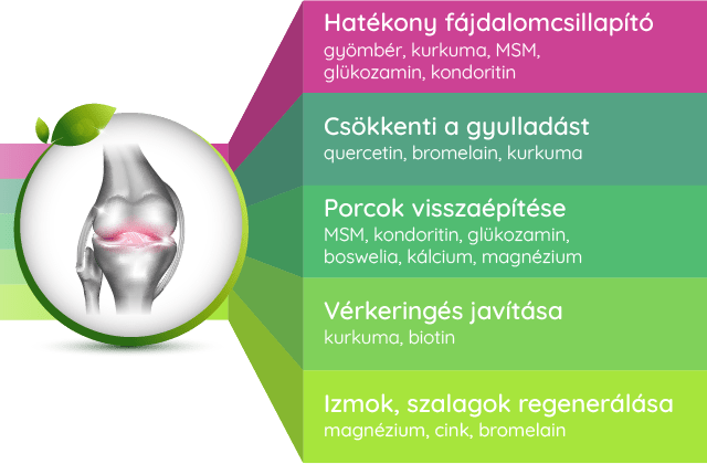 fájdalom a térdízületekben és a)