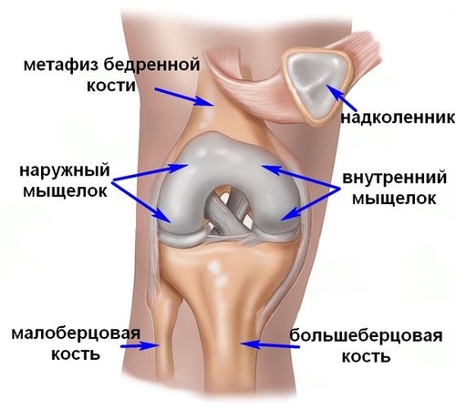 kvarclámpák artrózis kezelésére)