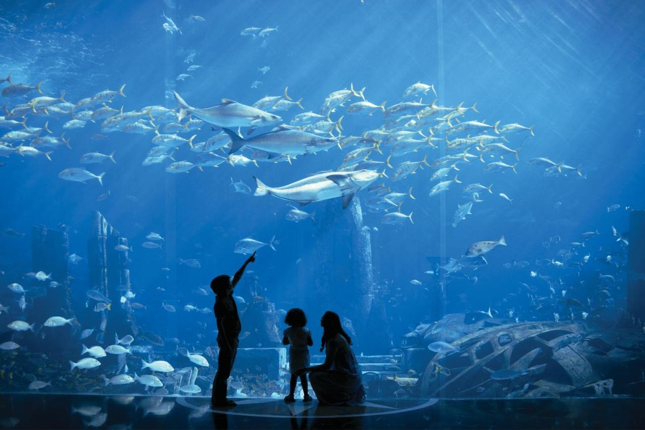 atlantis közös kezelés