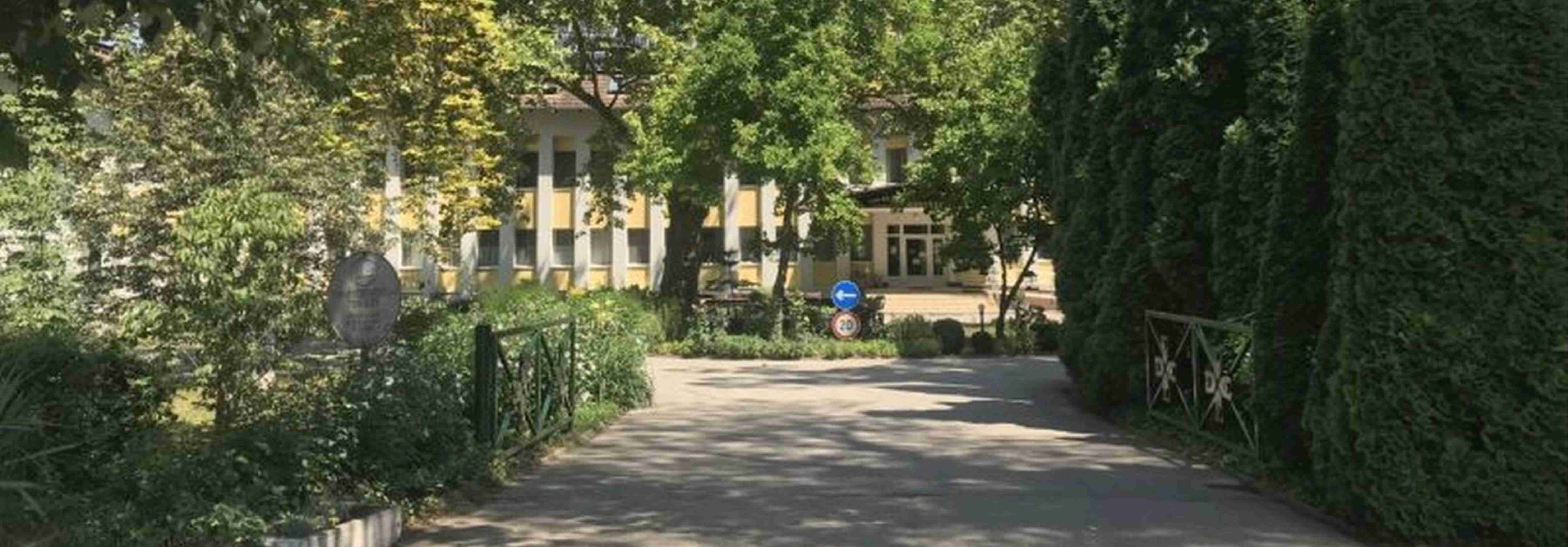 ízületi gyulladás kenőcs krém az ízületek ezüstből fájnak