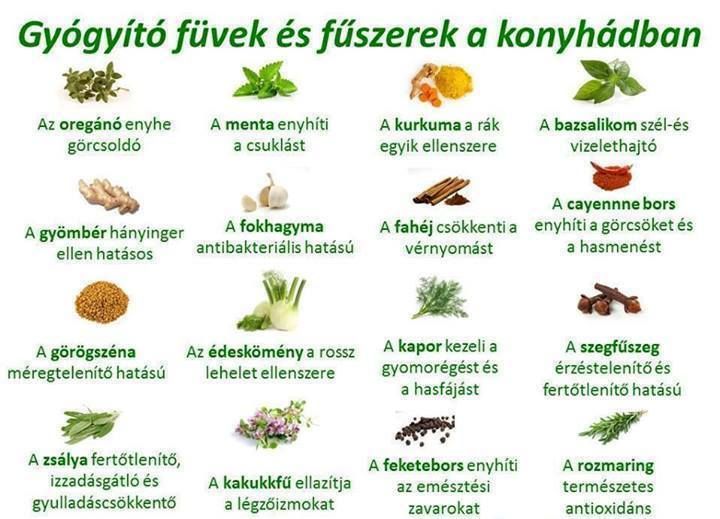 gyógyító gyógynövények
