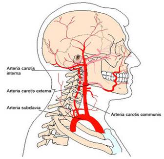arthrosis kezelés szlovéniában