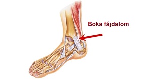 a bokaízület fájdalmának oka