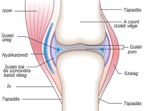 Artrózis kezelés idős korban, Mit tehetünk, ha fájnak az ízületek? - Patika Magazin Online