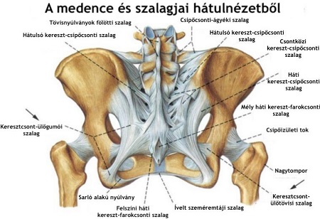 keresztcsont fájdalom lelki okai