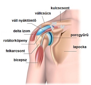 vállfájdalom tünetei