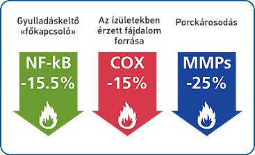 molekula ízületi kezelés hogyan lehet a fájdalmat enyhíteni a vállízület neuralgiájával