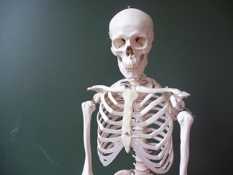 császárízületi fájdalom