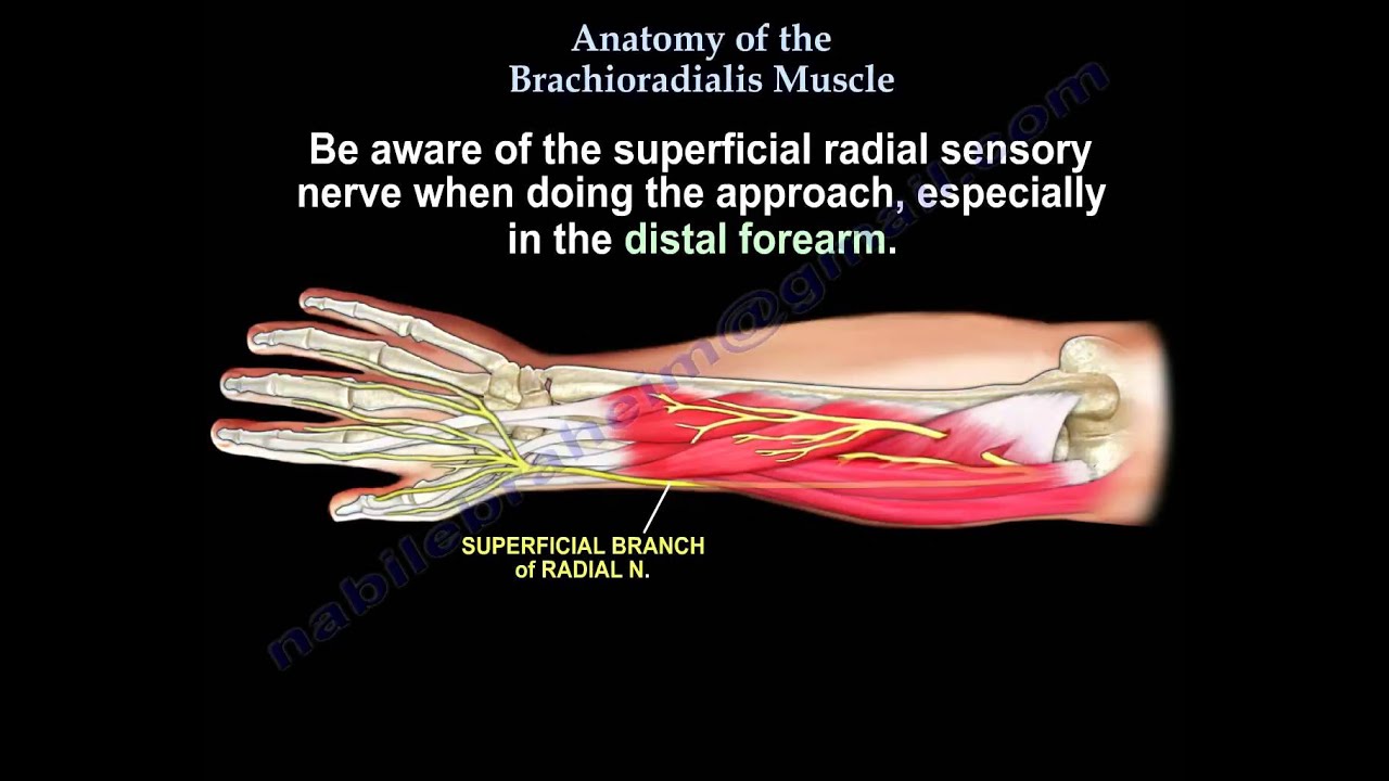 brachialis artrózis kenőcs