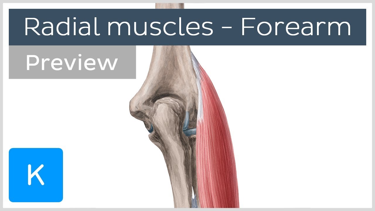 brachialis artrosis és ulnar kezelése)