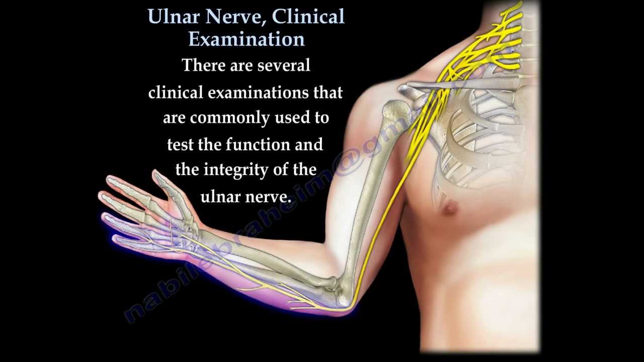 ulnar nerve)