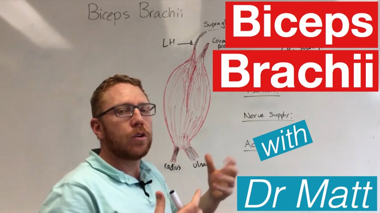 brachialis artrosis és ulnar kezelése