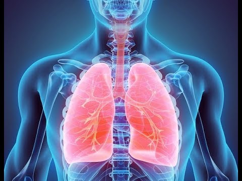 a térdízületek kezelésének legjobb módja a lábak ízületeinek osteochondrosis tünetei