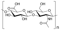 hialuronsav biotech)