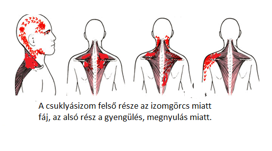ízületi fájdalom és a nyaki fájdalom)