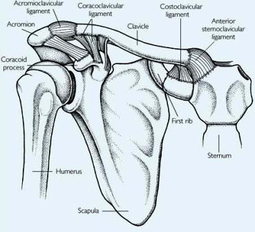 clavicularis acromialis arthrosis a jobb kéz mutatóujja ízületi fájdalma
