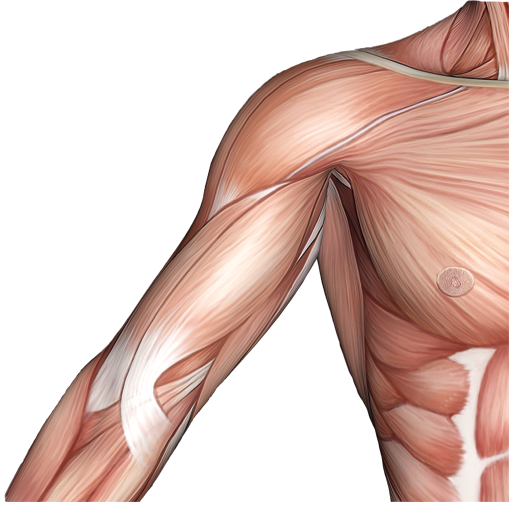 hogyan kell kezelni a vállízület periarthrosisát