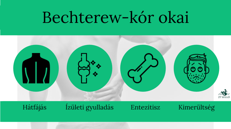 Gerinces Magazin » A gerincbetegségek okai és tünetei