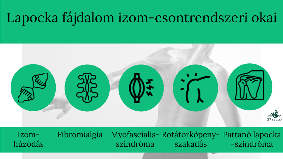Fizikoterápiás nyak-, váll- és hátkezelés választható ajándék kezeléssel